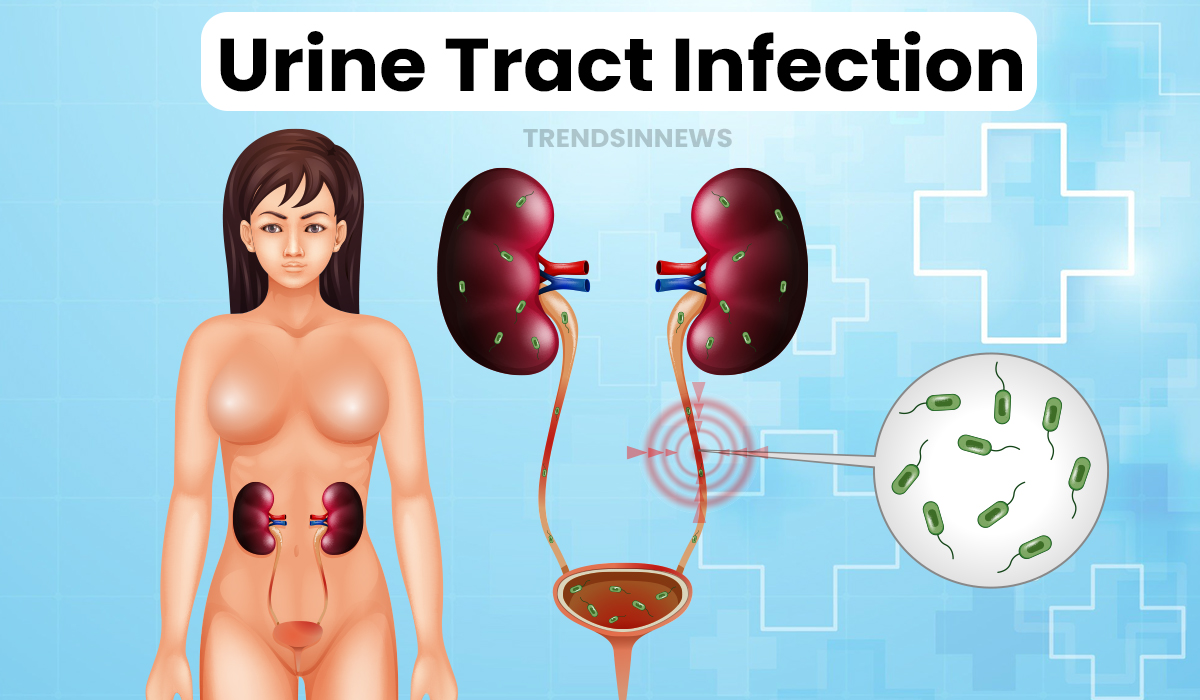 Urine Tract Infection; Causes, Symptoms, and Treatment