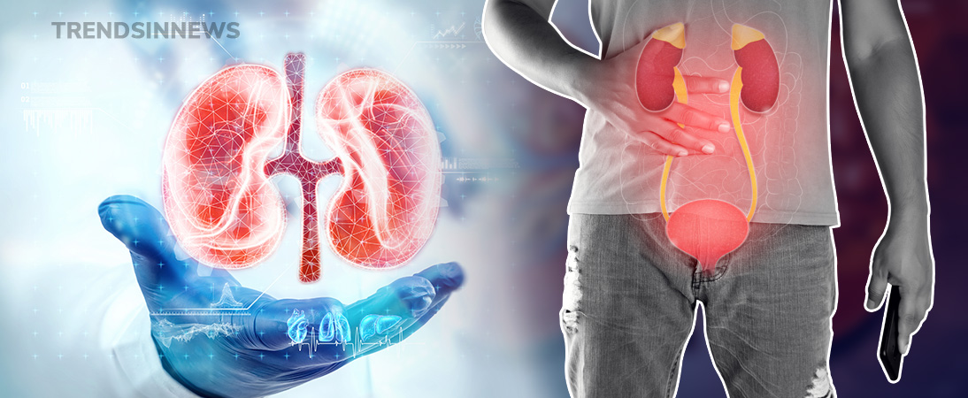 Kidney Failure; Causes, Symptoms, and Treatment